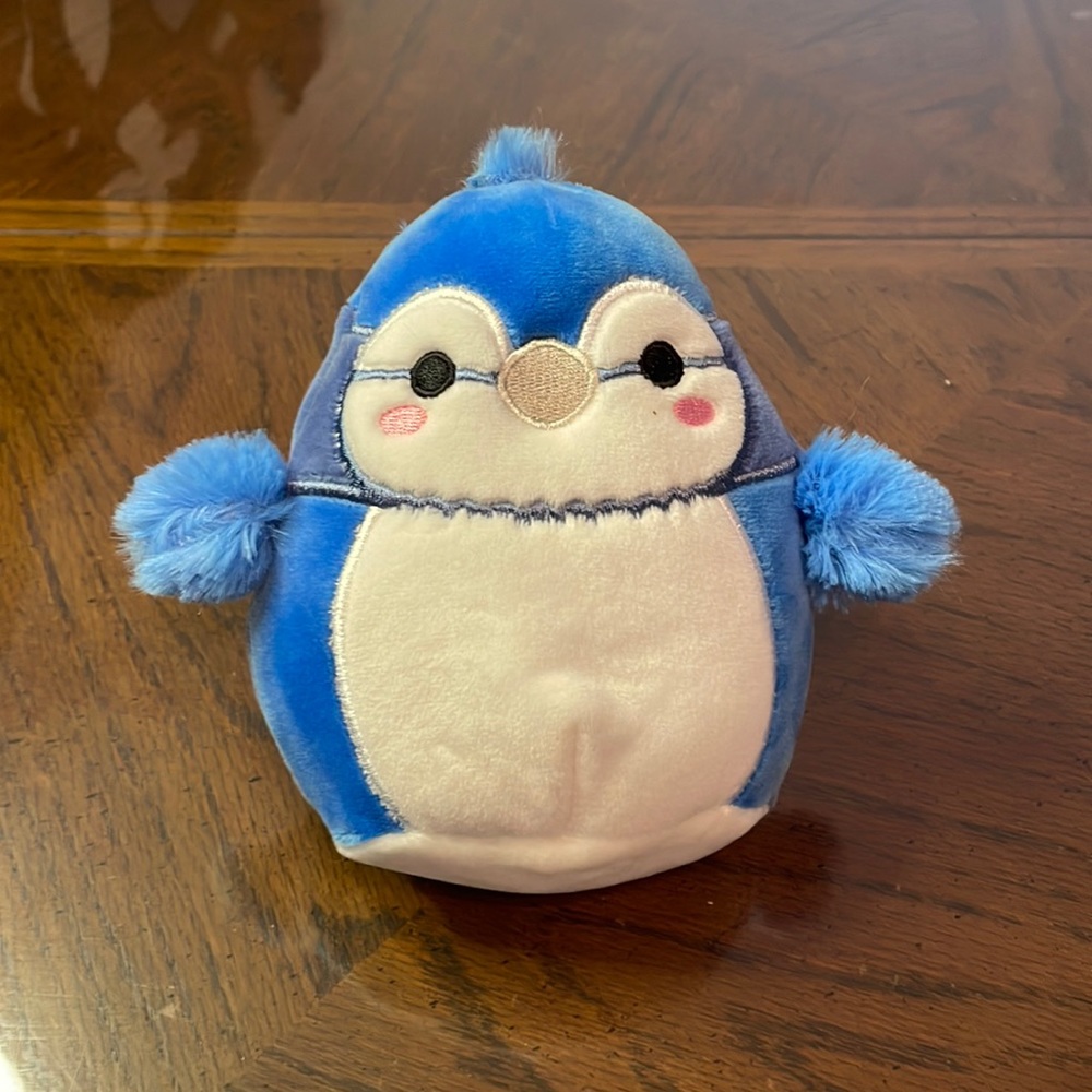"Babs" - Bluejay